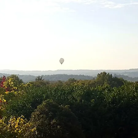 Rosa - Domaine La Roseraie Tourtoirac