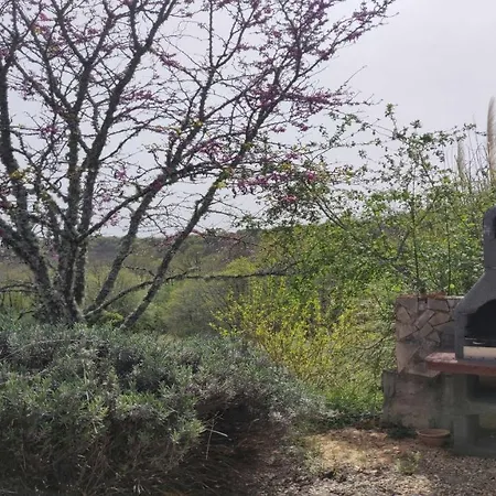 Rosa - Domaine La Roseraie